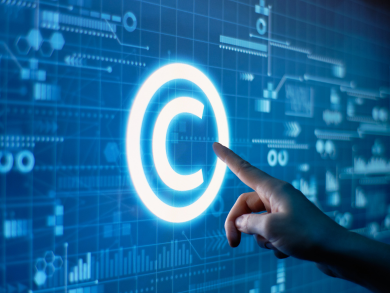 Professional Competency in Intellectual Property Law (IP)