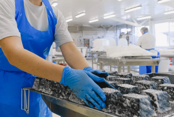 NEW - CTSI Professional Competency in Food 