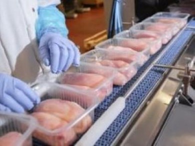 Food Regulation - Regulated Foods