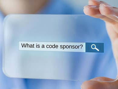 What is a Code Sponsor?